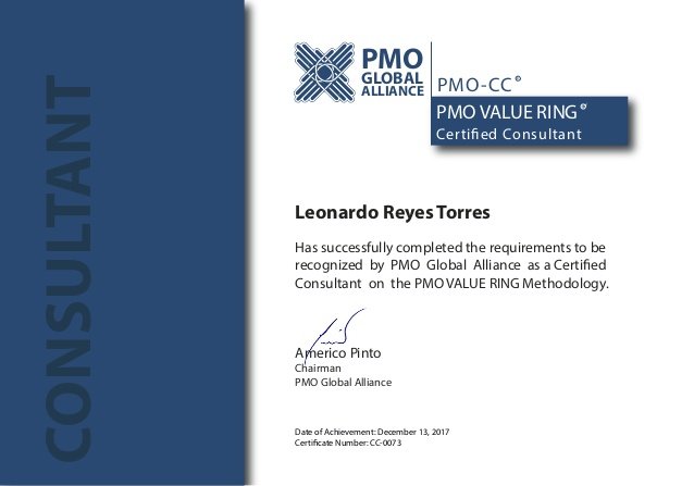 PMO Certified Practitioner SPANISH VERSION (PMO Value Ring) - Imagen 5