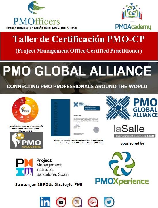 PMO Certified Practitioner SPANISH VERSION (PMO Value Ring) - Imagen 3