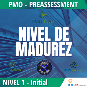 CONSULTORIA DIGITAL FASE DISEÑO PMO