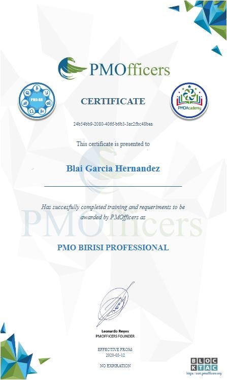 PMO BIRISI PROFESSIONAL CERTIFIED + EXAMEN CERTIFICACIÓN - Imagen 3