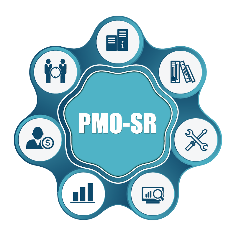 CONSULTORIA DIGITAL FASE MADUREZ PMO - Imagen 11
