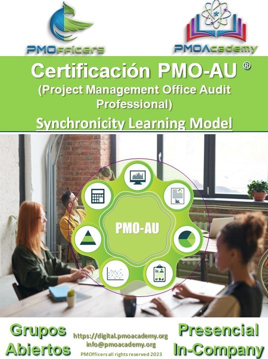 CONSULTORIA DIGITAL FASE AUDITORIA PMO - Imagen 6