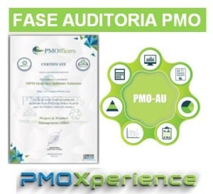 CONSULTORIA DIGITAL FASE AUDITORIA PMO