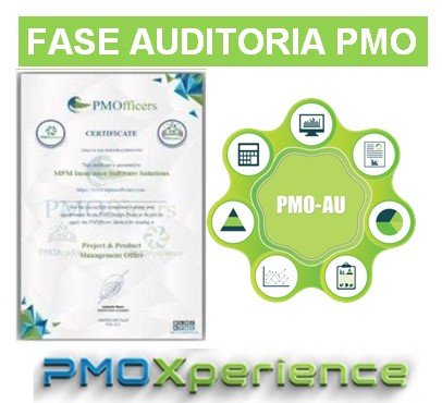 CONSULTORIA DIGITAL FASE AUDITORIA PMO