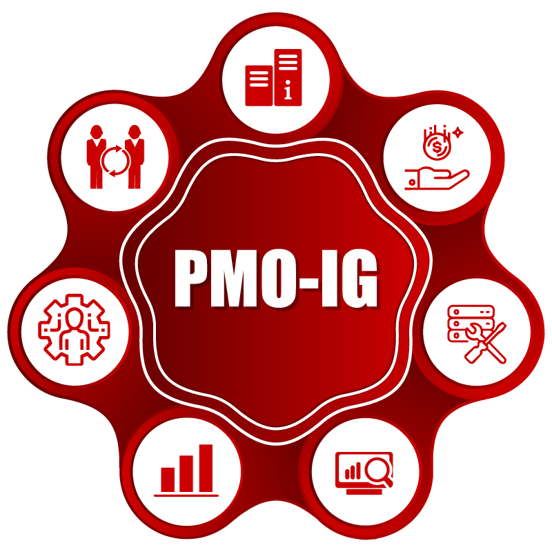 CONSULTORIA DIGITAL FASE MADUREZ PMO - Imagen 8