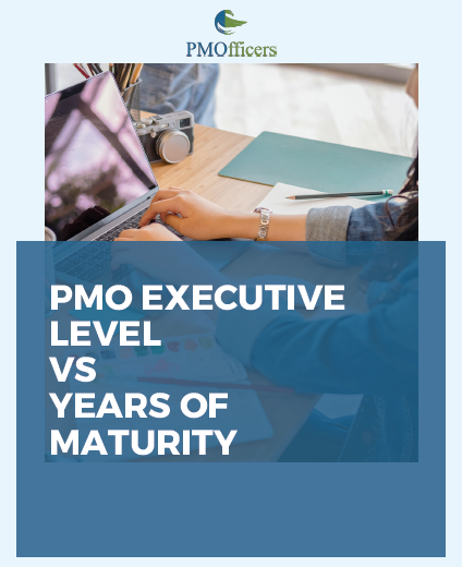 🚀 Annual Membership Level 1 – PMO Student - Imagen 14