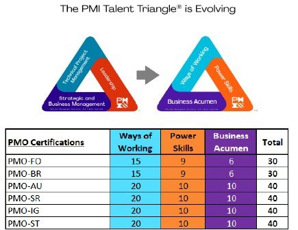 PMO STRATEGIC ROADMAP PROFESSIONAL CERTIFIED (SESIÓN ESPAÑOL) - Imagen 12